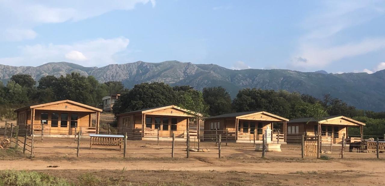 Les Chalets De Tesa Occhiatana Exteriör bild