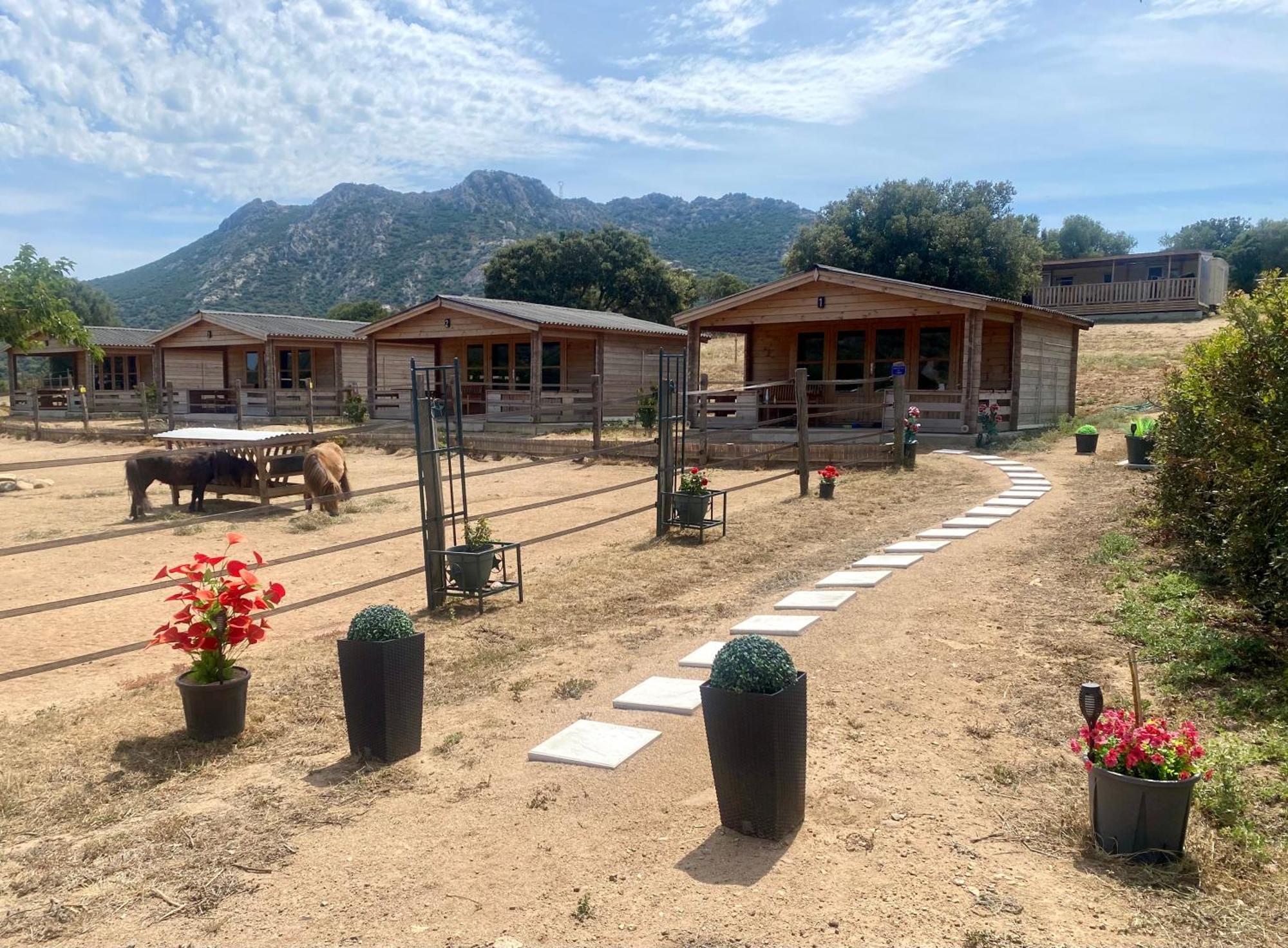 Les Chalets De Tesa Occhiatana Exteriör bild