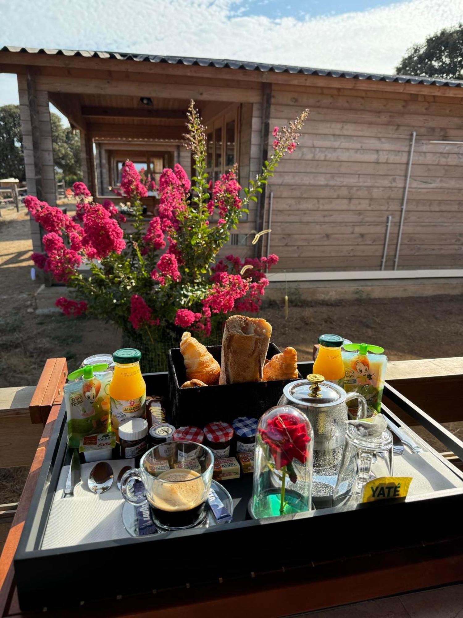 Les Chalets De Tesa Occhiatana Exteriör bild